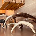 L'escoundillou Hotel